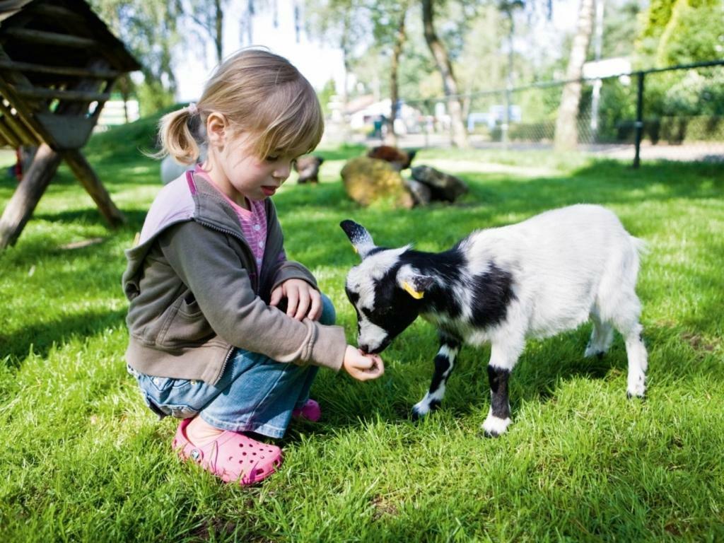 Landal De Veluwse Hoevegaerde Hotel Putten Luaran gambar